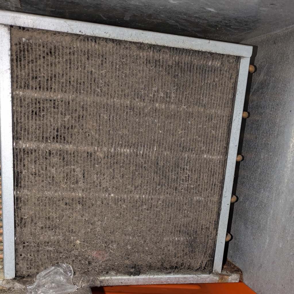 Refrigeration condenser coil matted with dust and lint